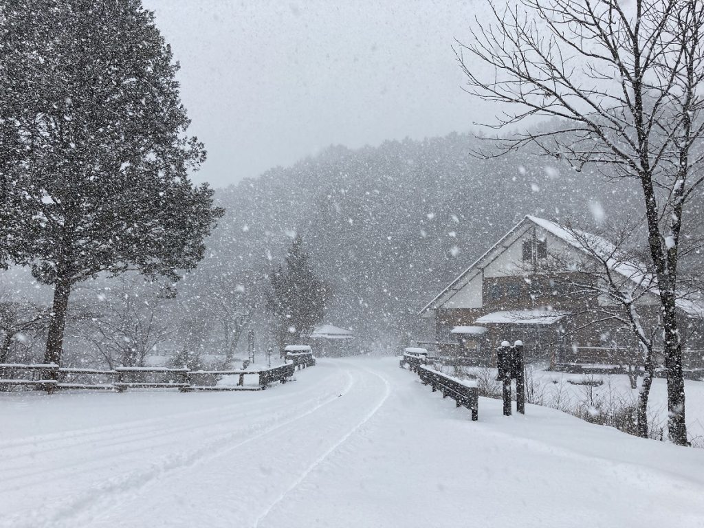 丸雪 IMG_0310-1024x768.jpg